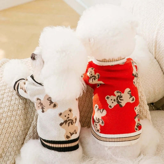 Why Your Dog Needs a Stylish Cardigan This Season