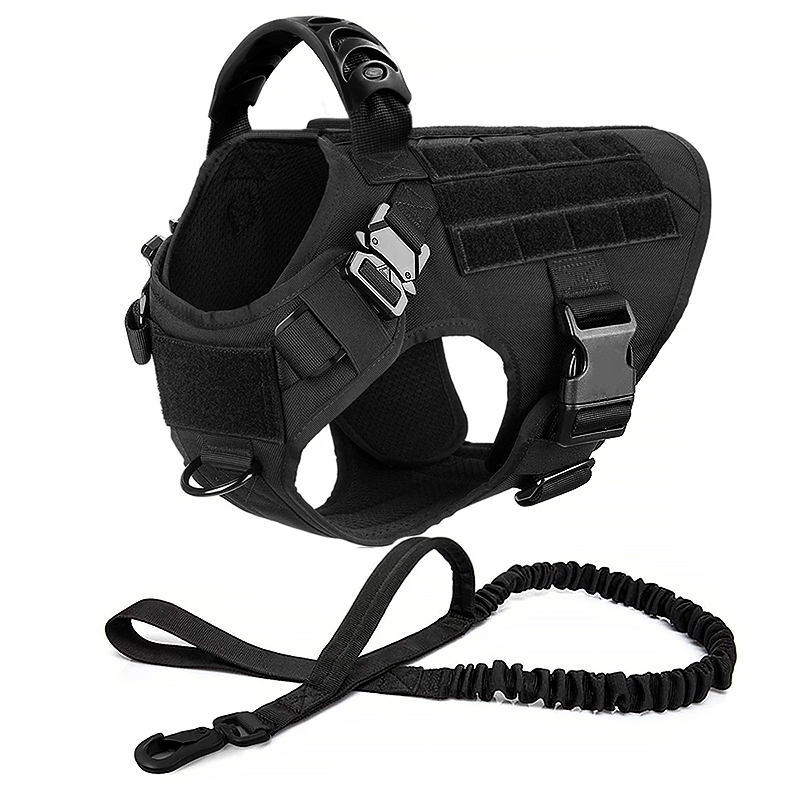 A black tactical dog harness with adjustable straps, sturdy buckles, a top handle, and Molle panels for patches.