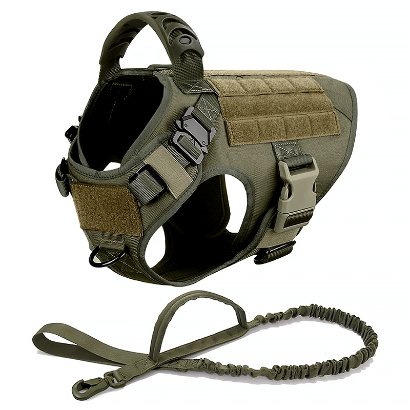 A green tactical dog harness with adjustable straps, sturdy buckles, a top handle, and Molle panels for patches.