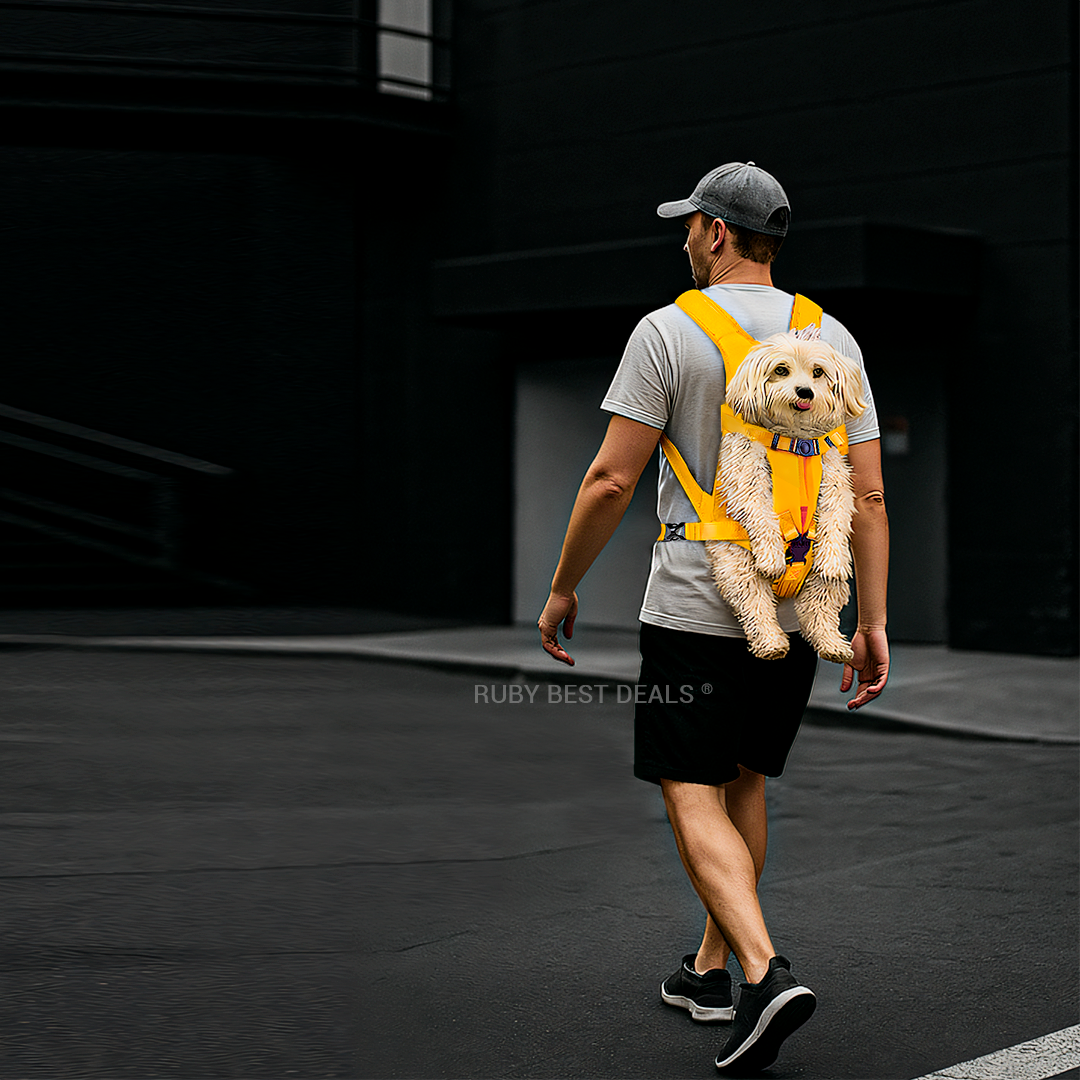A person walks with a small dog in a yellow dog carrier backpack on a dark street, wearing a grey t-shirt and cap.