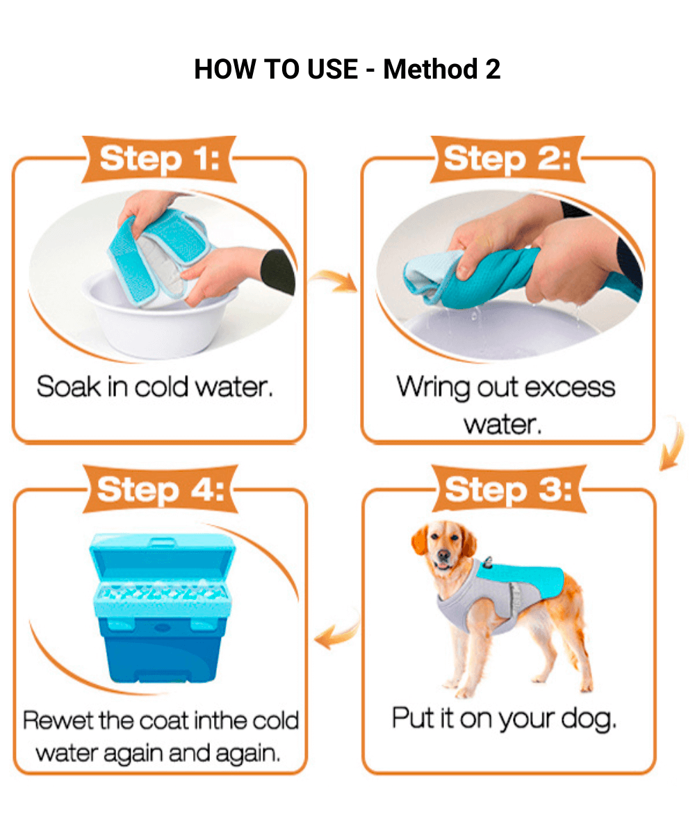 How to use the ChillDog Reflective Cooling Vest, Method 2: Soak in cold water, wring out excess, rewet the coat repeatedly, then put it on your dog.
