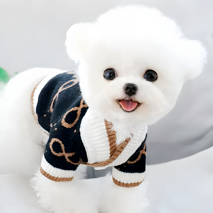 Adorable white fluffy dog wearing a stylish black dog cardigan, sitting indoors on a light background