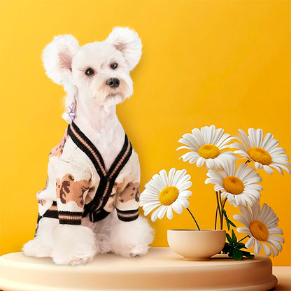 White dog in a beige dog cardigan sits beside a bowl of daisies on a yellow background