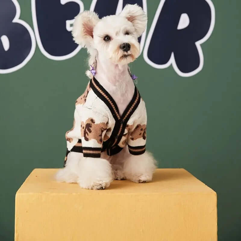 A small white dog wearing a beige cardigan with a teddy bear pattern and black trim sits on a yellow platform with a green background