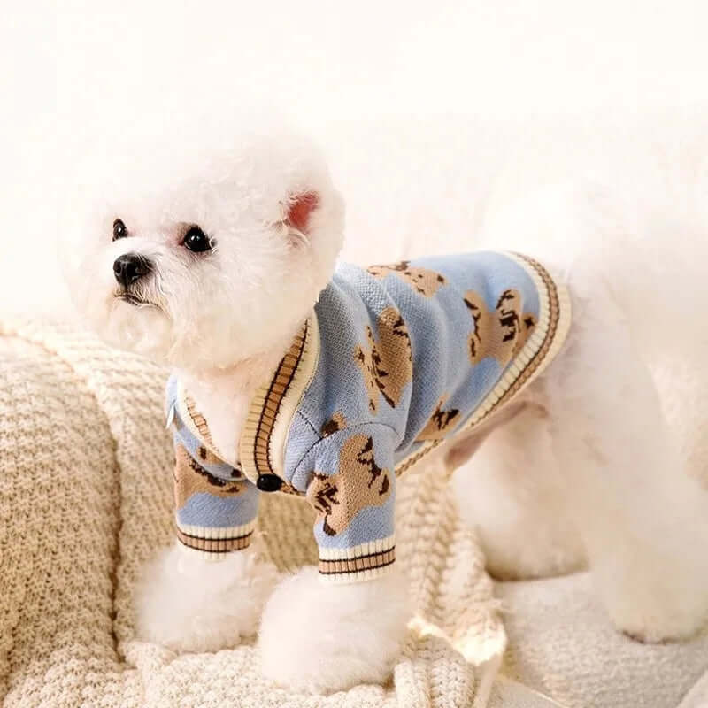 A small white dog wearing a light blue cardigan with a teddy bear pattern sits on a cozy beige blanket, looking upwards