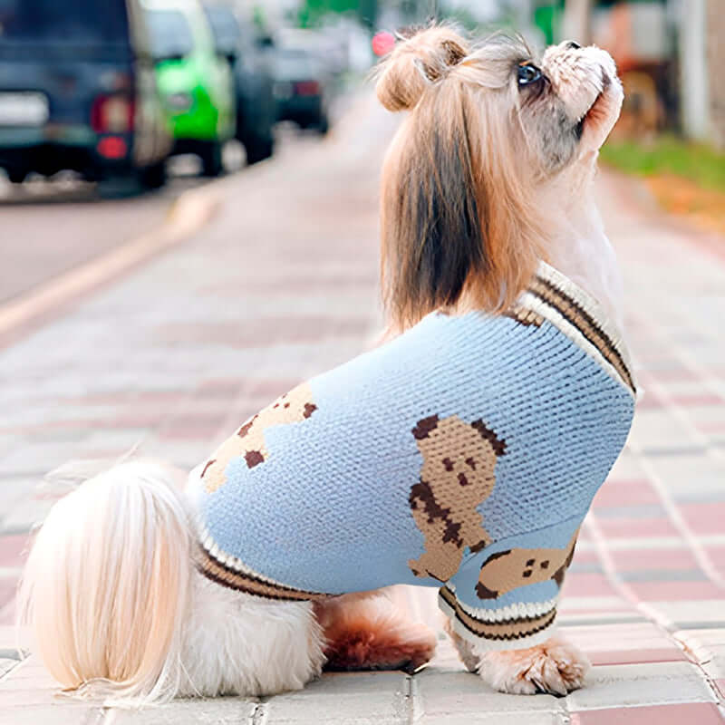 A small dog with its hair tied in a topknot, sitting on a sidewalk, wearing a light blue cardigan with a teddy bear pattern