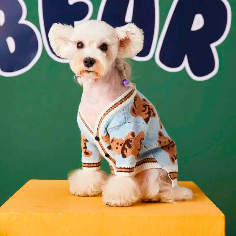 A small dog wearing a blue cardigan with teddy bear patterns sits on a yellow platform against a green background