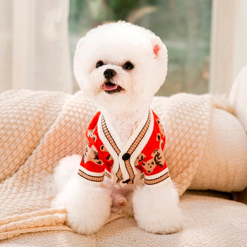 Fluffy white dog in a red dog cardigan with bear patterns sits on a cream-colored blanket indoors