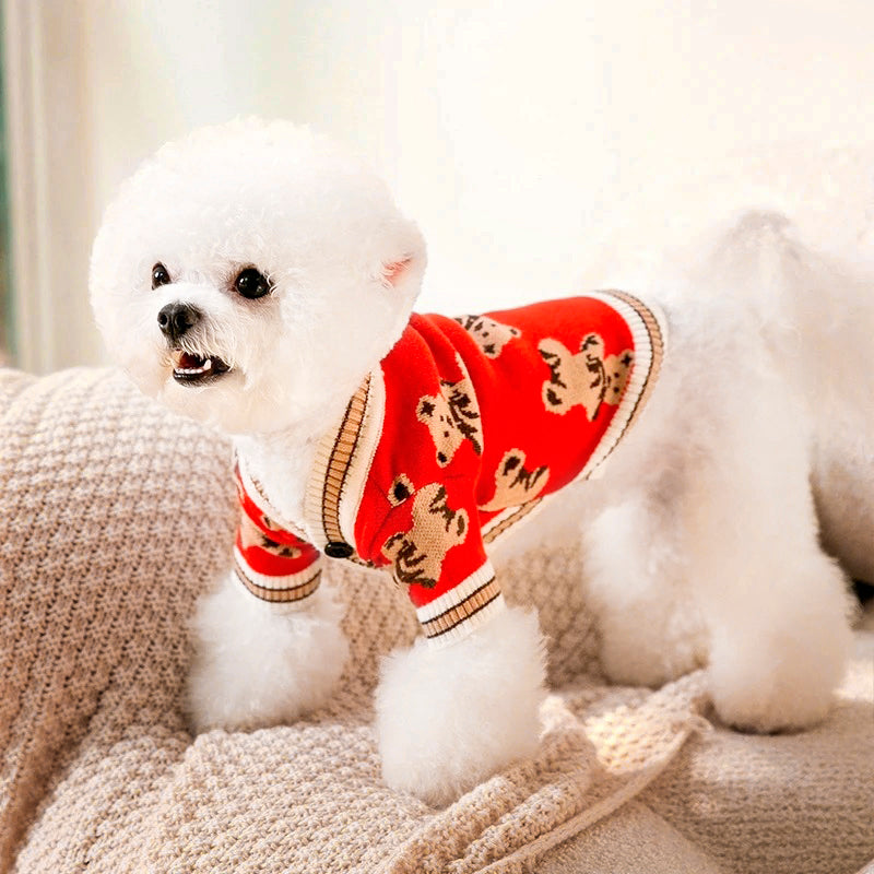 Cardigan for dogs best sale