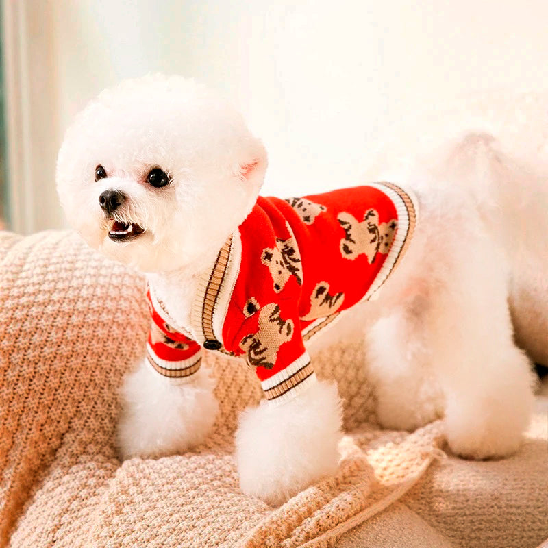 Fluffy white dog in a red dog cardigan with bear patterns stands on a beige blanket, looking to the side