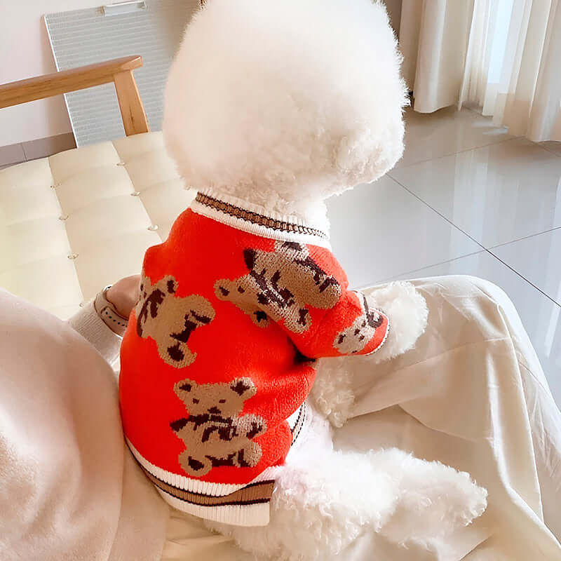 Fluffy white dog wearing a stylish red dog cardigan with teddy bear patterns, sitting on a person's lap in a bright, modern room