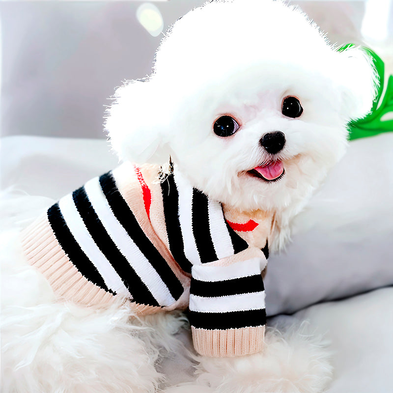 A fluffy white dog in a black, white, and beige striped sweater, looking happy with its tongue out.