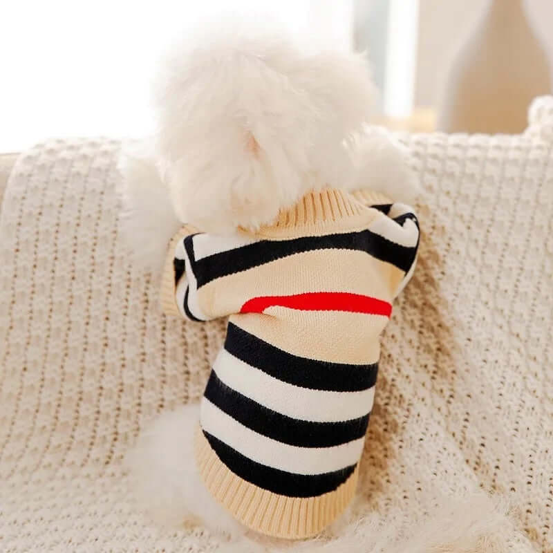 A small white fluffy dog with its back to the camera, wearing a striped beige, black, and white cardigan with a red stripe across the middle