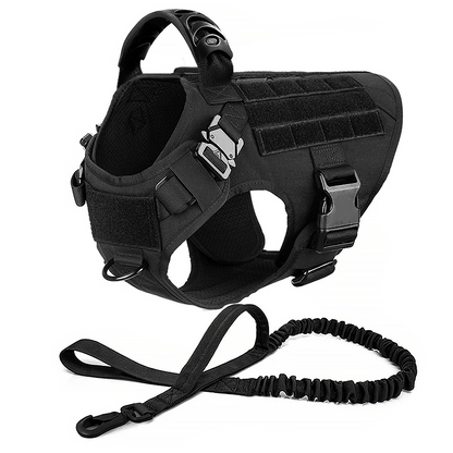 A black tactical dog harness with adjustable straps, sturdy buckles, a top handle, and Molle panels for patches.