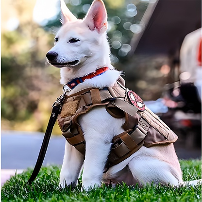 A white dog with pointed ears sits on grass, wearing a tactical harness with a red patch and a leash attached.
