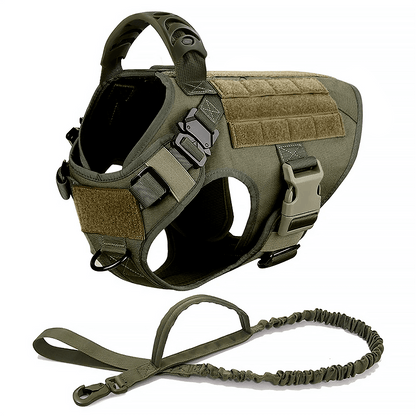 A green tactical dog harness with adjustable straps, sturdy buckles, a top handle, and Molle panels for patches.