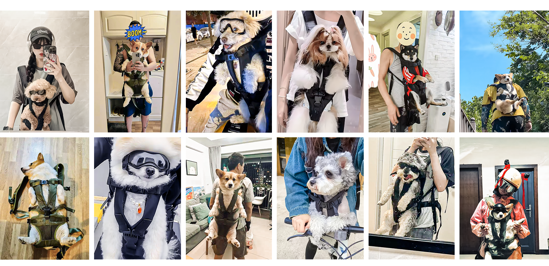 Collage of customers using the Paws2Go Backpack Carrier with their dogs in various settings, showcasing different styles and activities