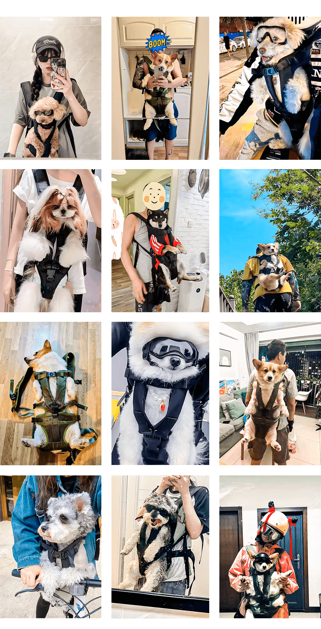 Collage of customers using the Paws2Go Backpack Carrier with their dogs in various settings, showcasing different styles and activities