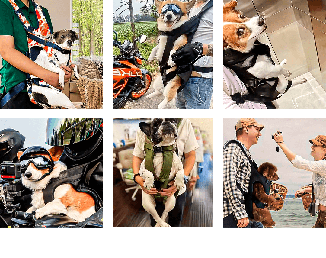 Collage of customers using the Paws2Go Backpack Carrier with their dogs in various settings, showcasing different styles and activities