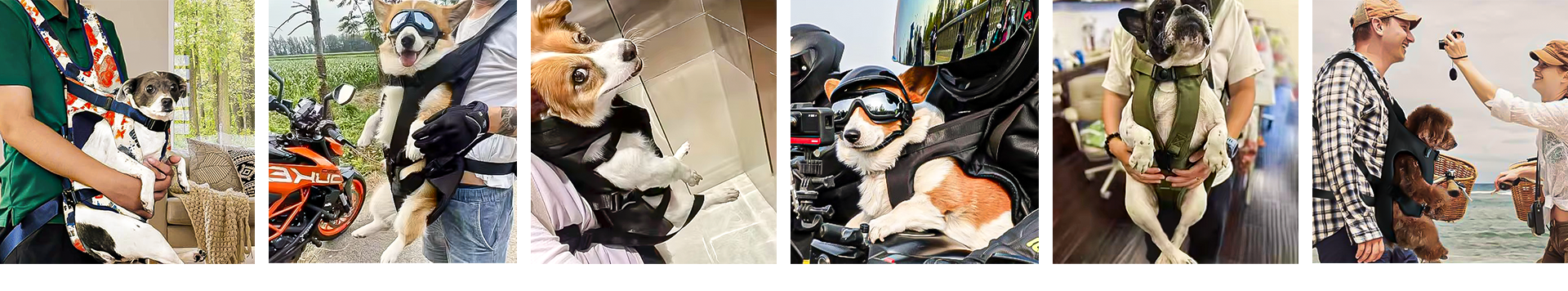 Collage of customers using the Paws2Go Backpack Carrier with their dogs in various settings, showcasing different styles and activities