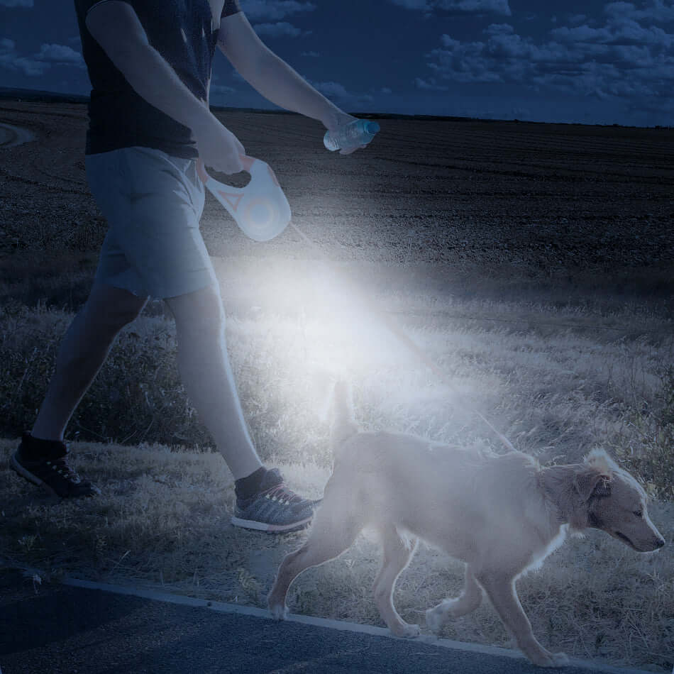 A person walking a dog at night using a NightSafe RGB Light Retractable Leash with a built-in LED light that illuminates the path ahead.