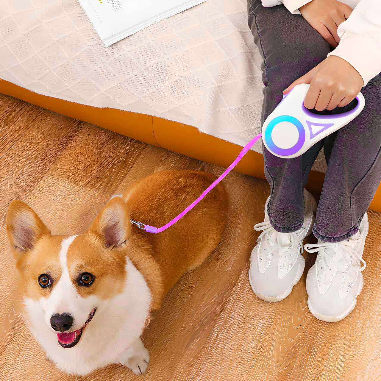 A person sitting on a couch holding a NightSafe RGB Light Retractable Leash connected to a happy Corgi sitting on the floor, looking up.