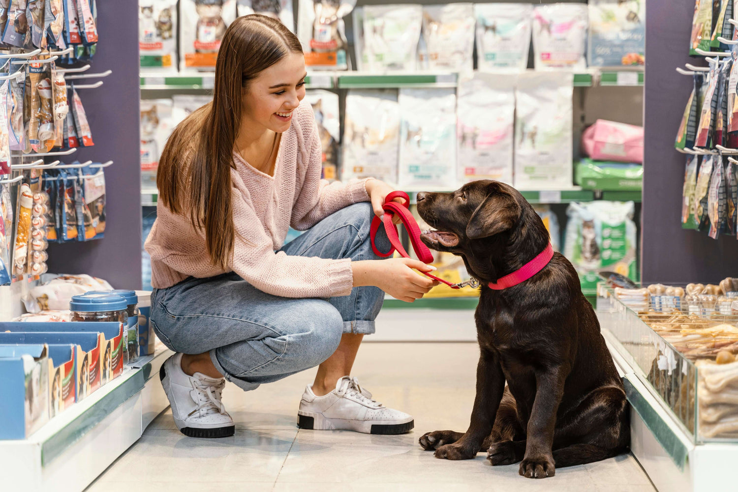 A woman kneeling and smiling at a chocolate labrador in a pet store aisle, holding the dog's red leash.